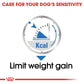 Royal Canin, Light Weight Care (WET FOOD - Pouches) Canine Care Nutrition
