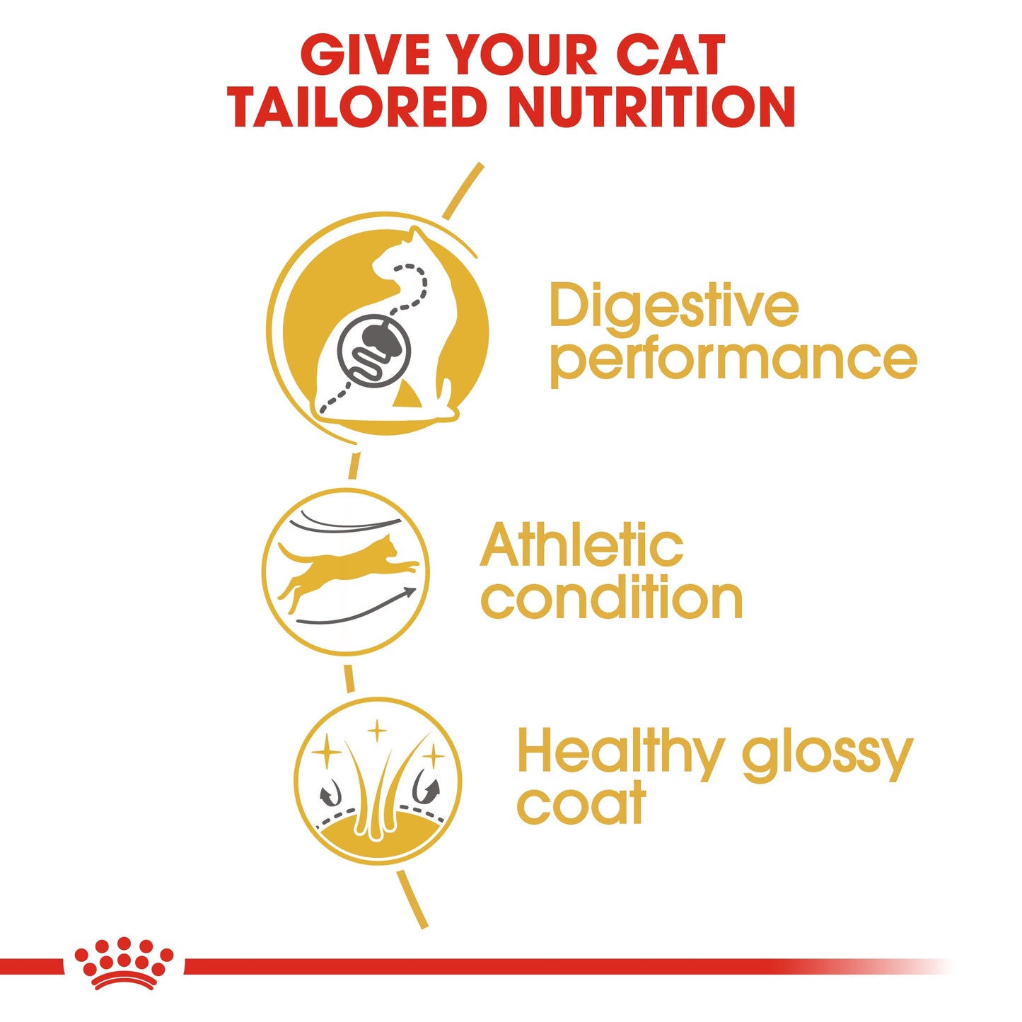 Royal Canin, Feline Breed Nutrition Bengal Adult 2 KG