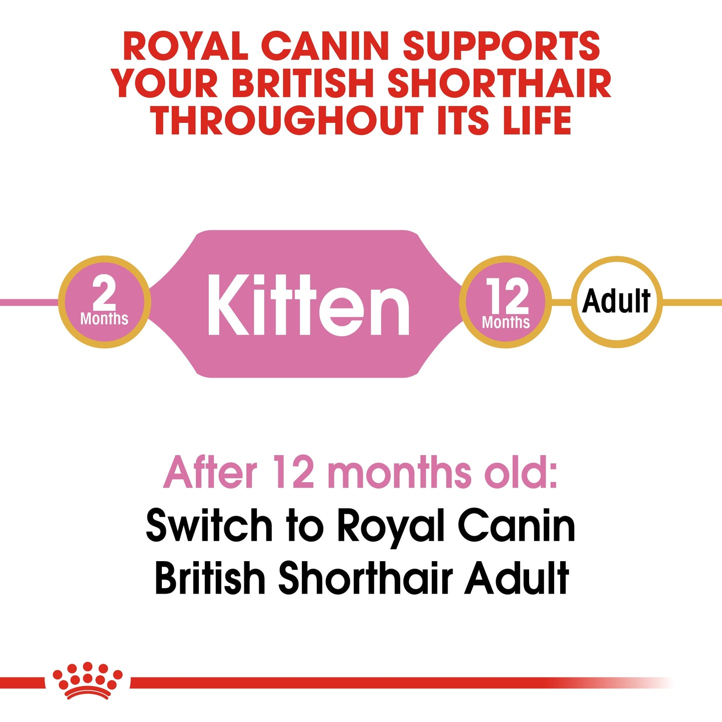 Royal Canin, Feline Breed Nutrition British Shorthair Kitten 2 KG