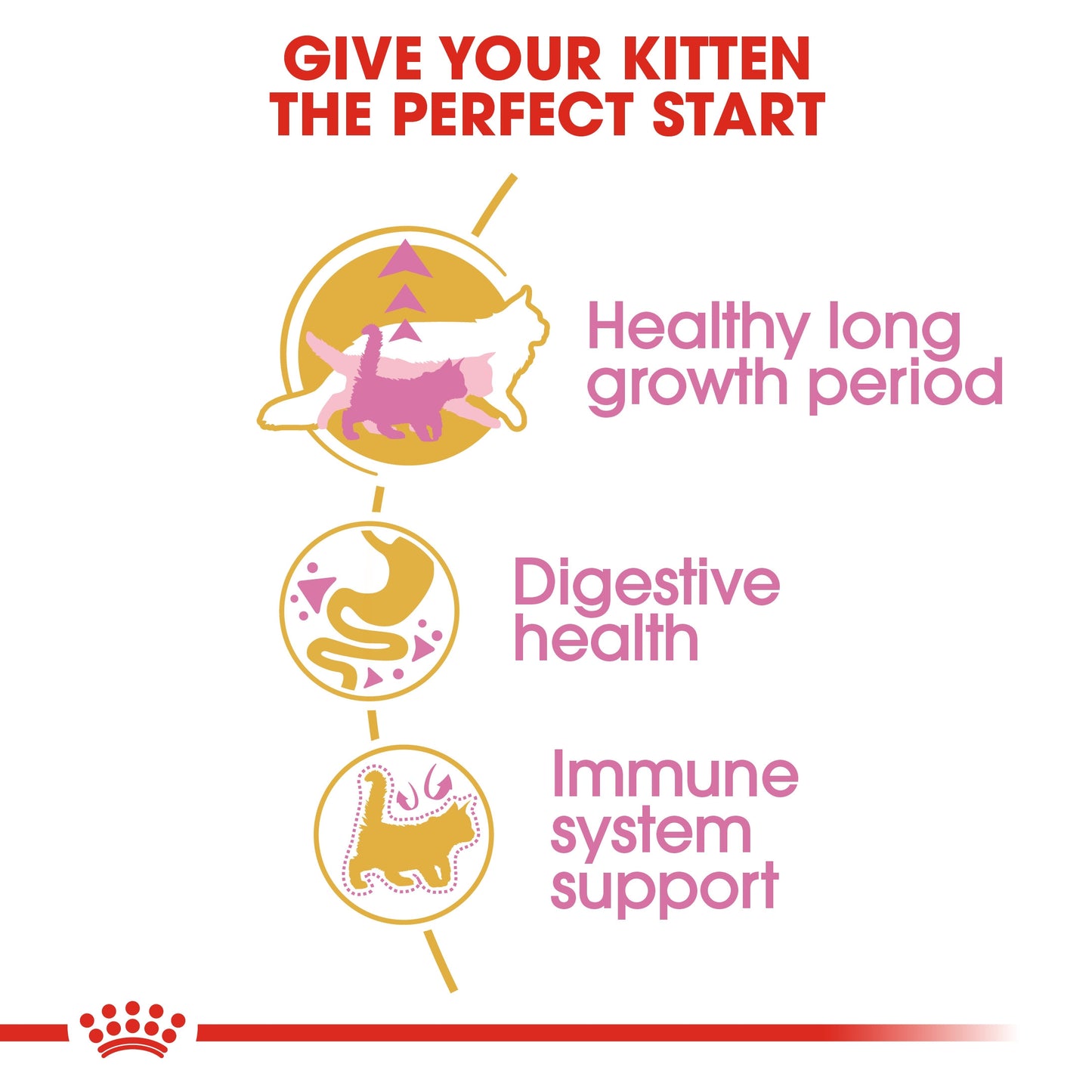 Royal Canin, Feline Breed Nutrition Maine Coon Kitten 2 KG