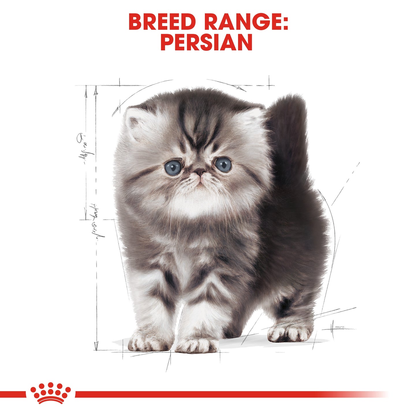 Royal Canin, Feline Breed Nutrition Persian Kitten 2 KG