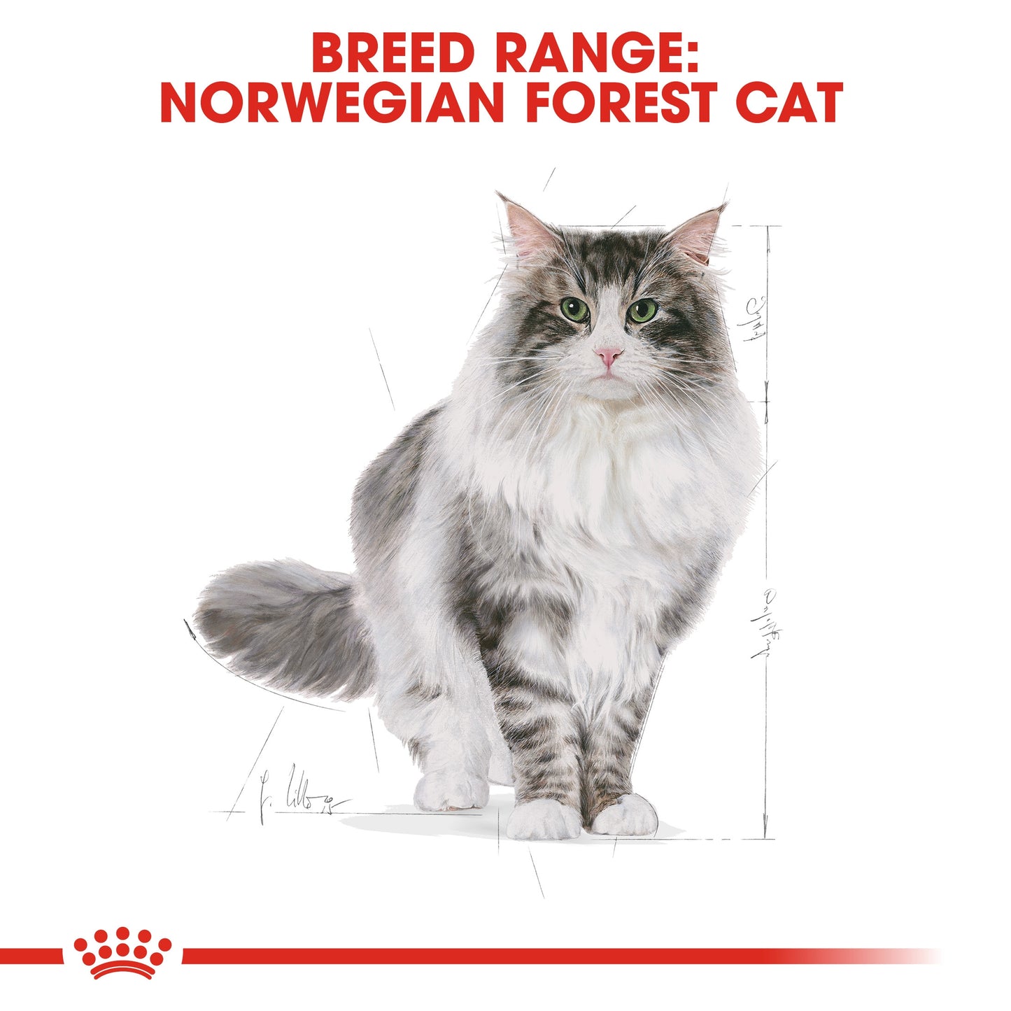 Royal Canin, Feline Breed Nutrition Norwegian Forest Cat Adult 2 KG