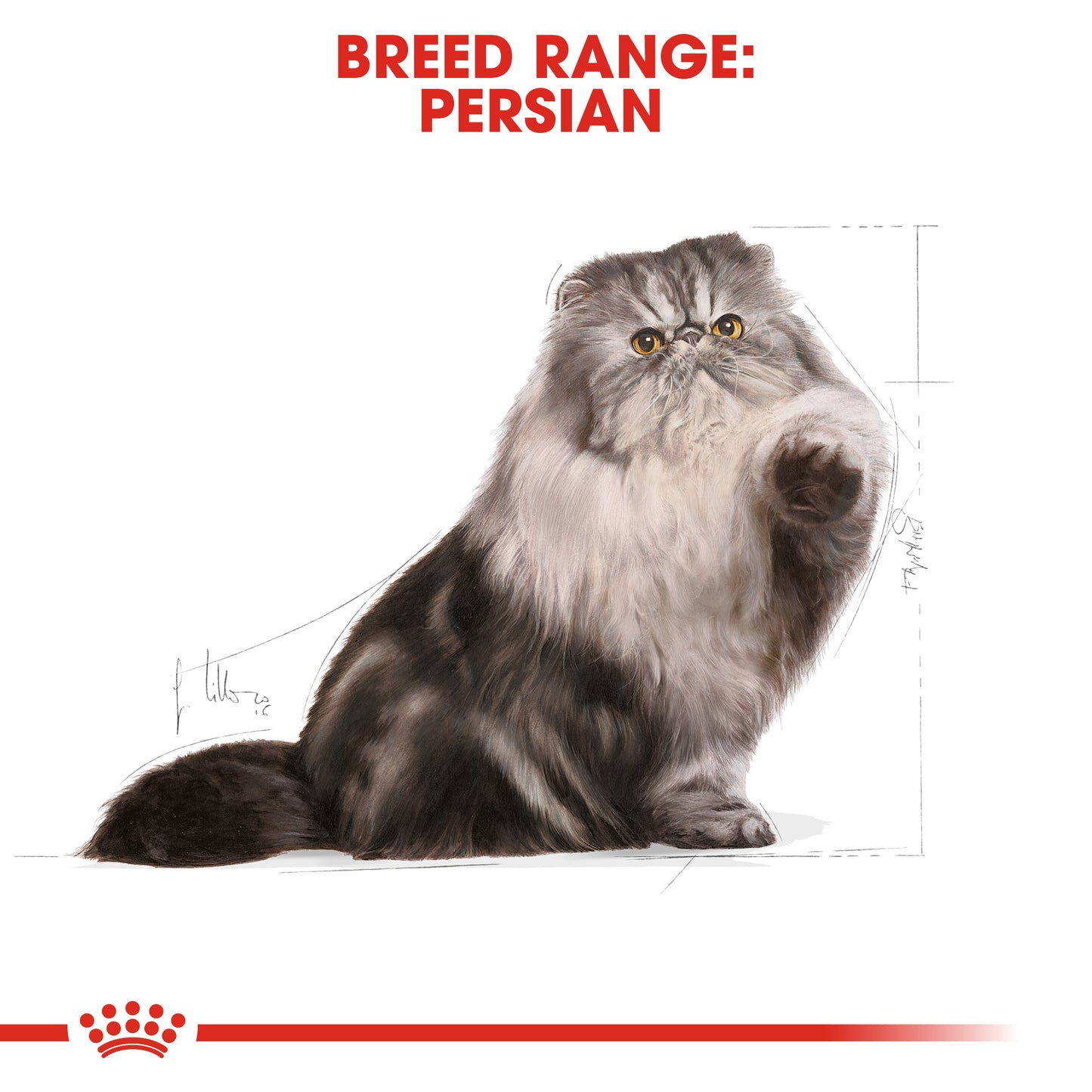 Royal Canin, Feline Breed Nutrition Persian Adult 400g