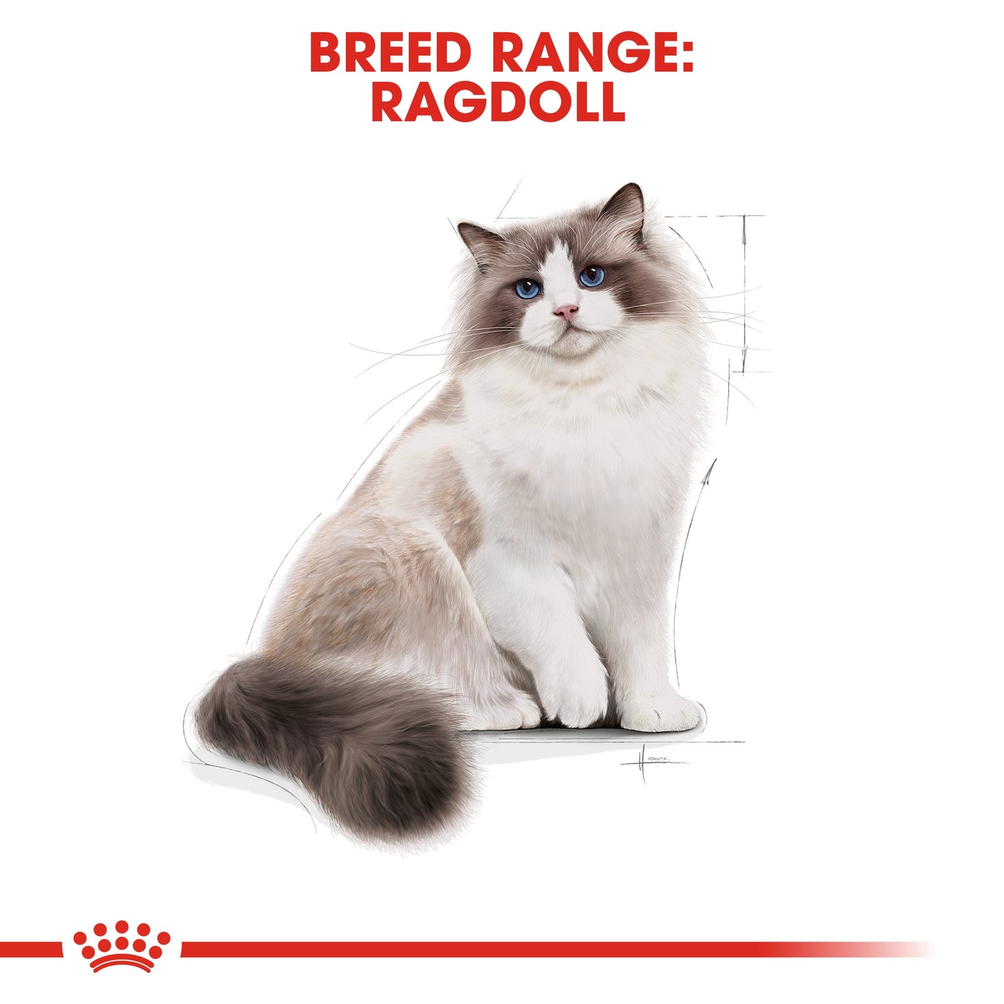 Royal Canin, Feline Breed Nutrition Ragdoll Adult 2 KG