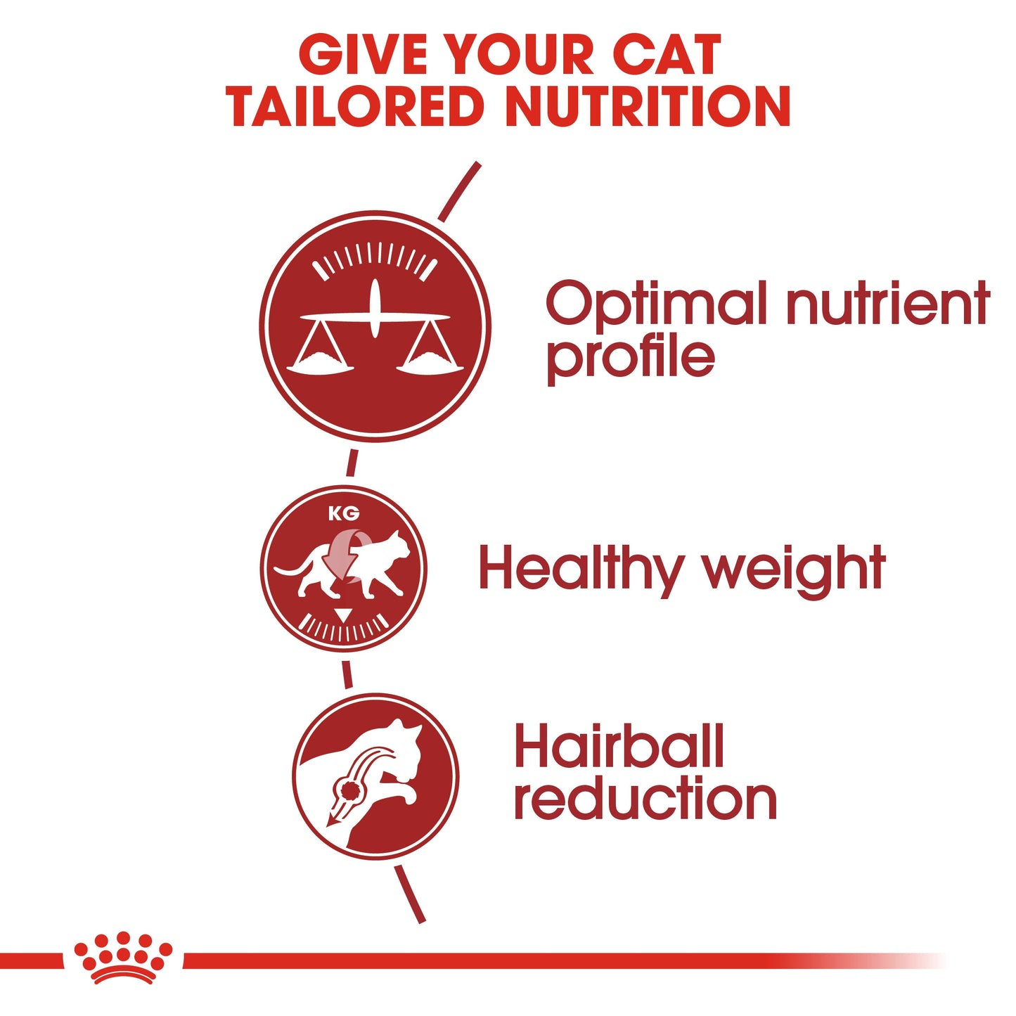 Royal Canin, Feline Health Nutrition Fit 32 - 2 KG