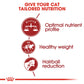 Royal Canin, Feline Health Nutrition Fit 32 - 10 KG