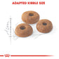 Royal Canin, Feline Health Nutrition Fit 32 - 10 KG