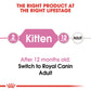Royal Canin, Feline Health Nutrition Kitten 10 KG