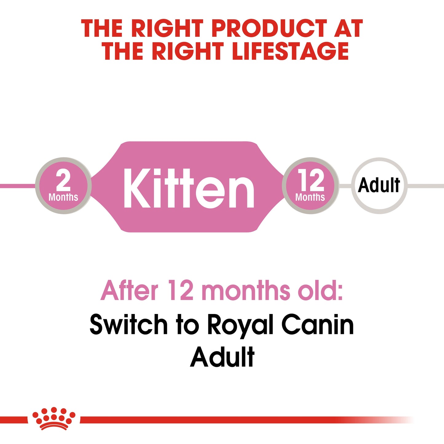 Royal Canin, Feline Health Nutrition Kitten Gravy (WET FOOD - Pouches)