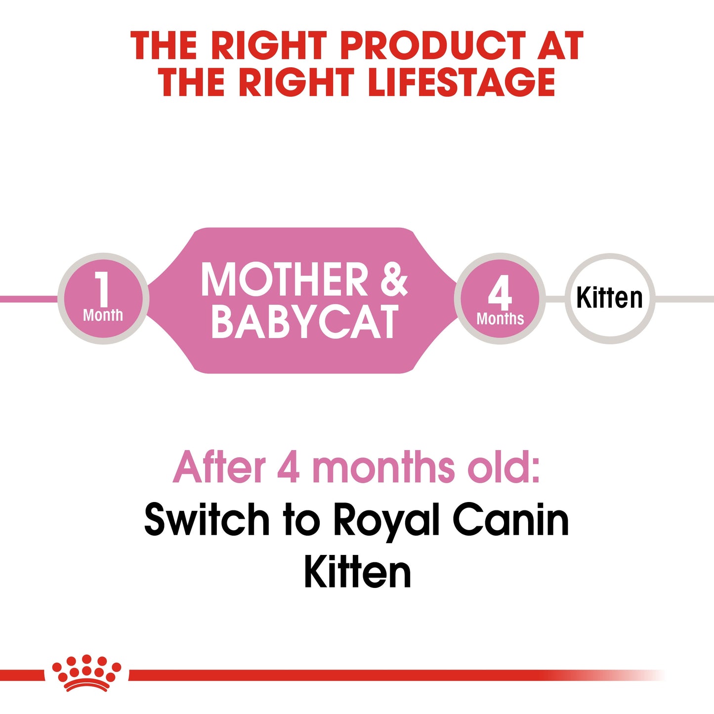 Royal Canin, Feline Health Nutrition Mother & Babycat  4 KG