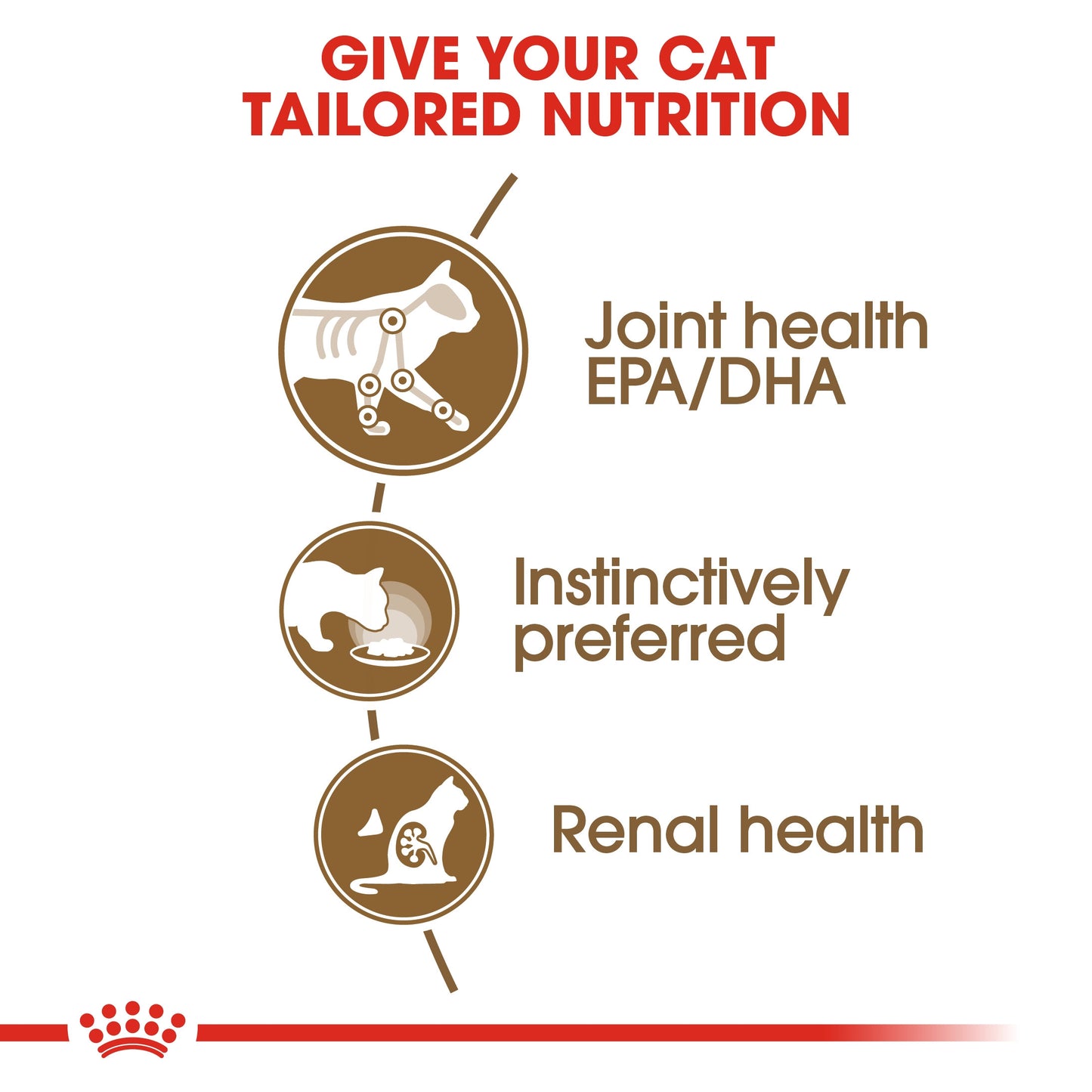 Royal Canin, Feline Health Nutrition Ageing +12 Jelly (WET FOOD - Pouches)