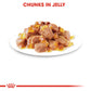 Royal Canin, Feline Health Nutrition Instinctive Adult Cats Jelly (WET FOOD - Pouches)
