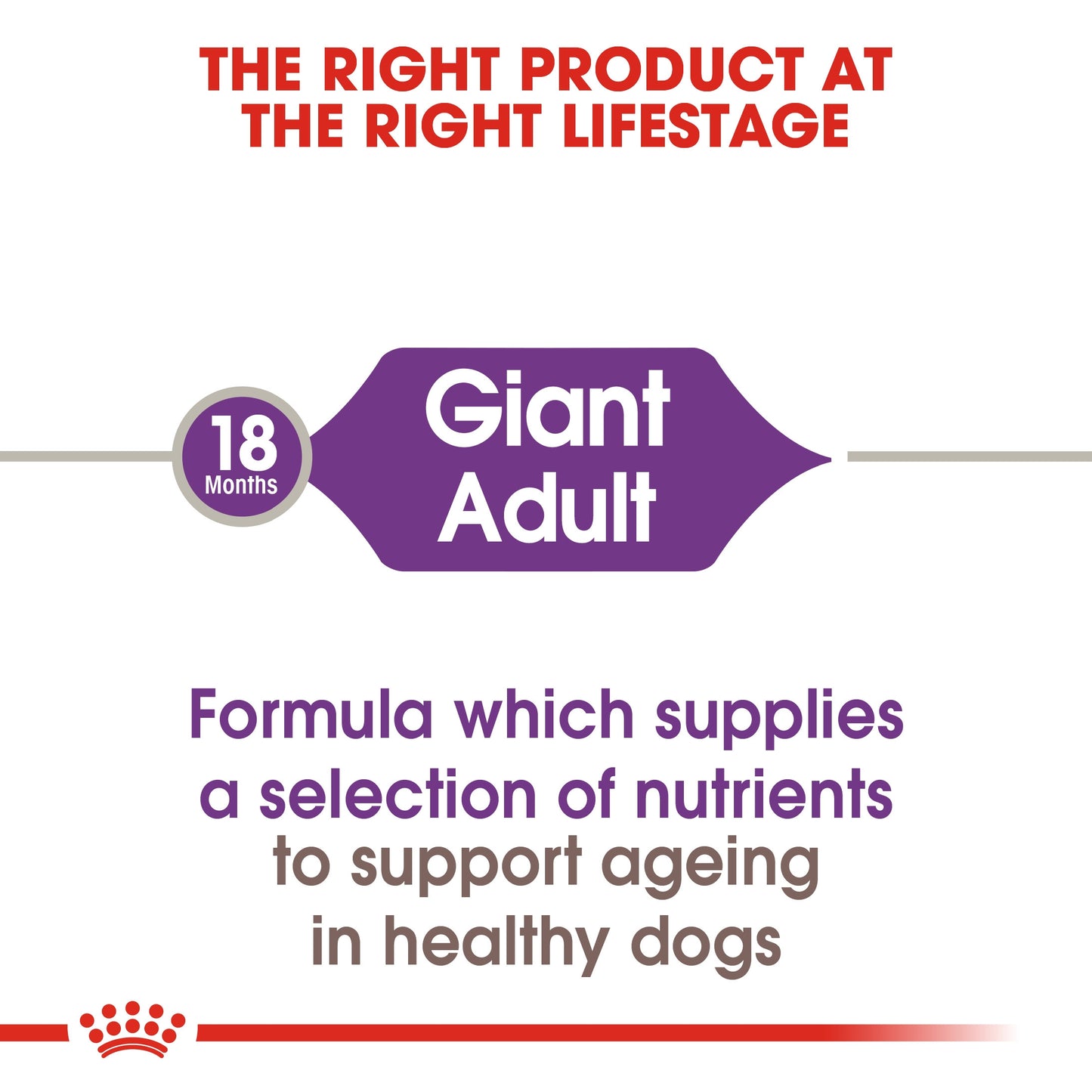 Size Health Nutrition Giant Adult 15 KG