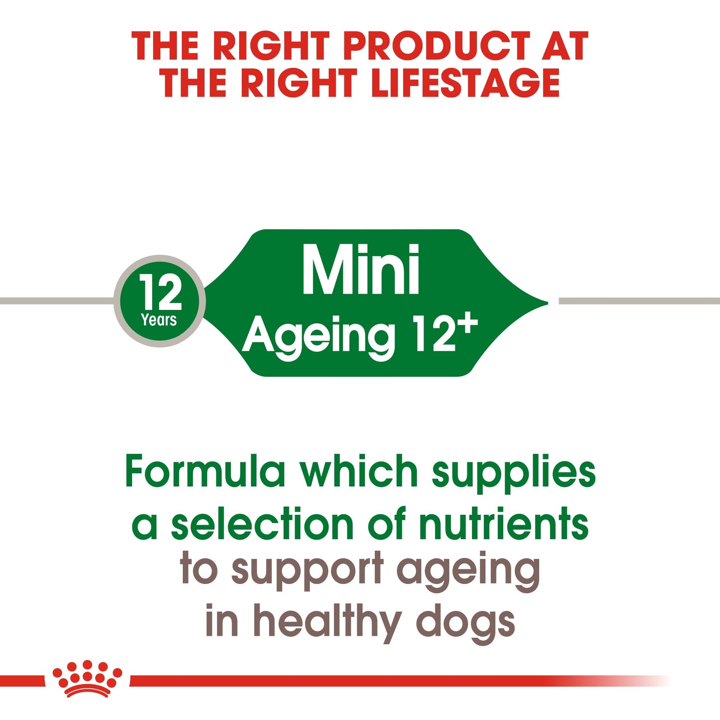 Size Health Nutrition Mini Ageing 12+ 1.5 KG