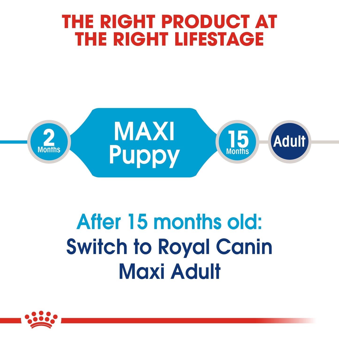 Size Health Nutrition Maxi Puppy 1 KG