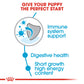 Royal Canin, Size Health Nutrition Medium Puppy 4 KG