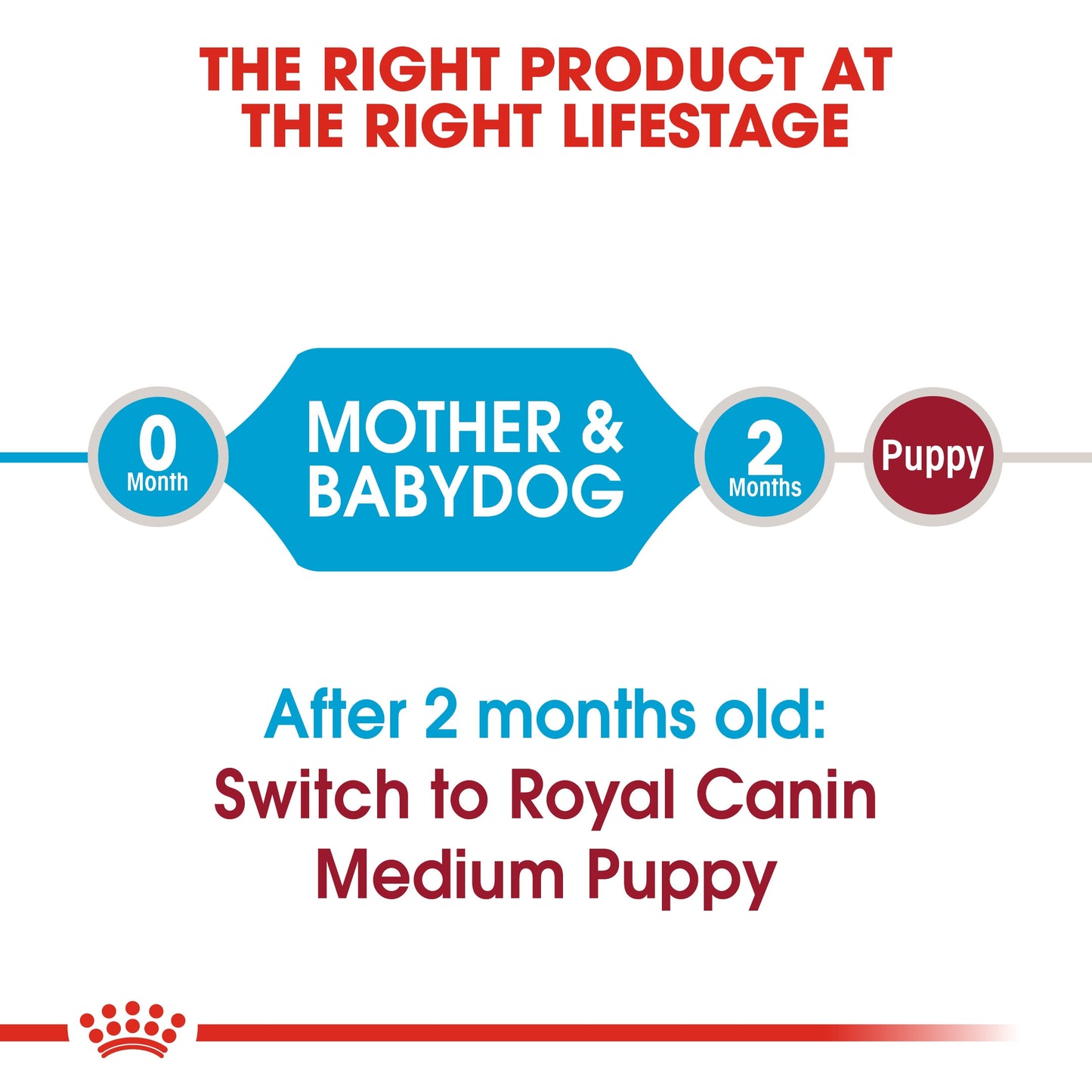 Royal Canin, Size Health Nutrition Medium Starter 4 KG