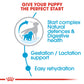 Royal Canin, Size Health Nutrition Medium Starter 4 KG