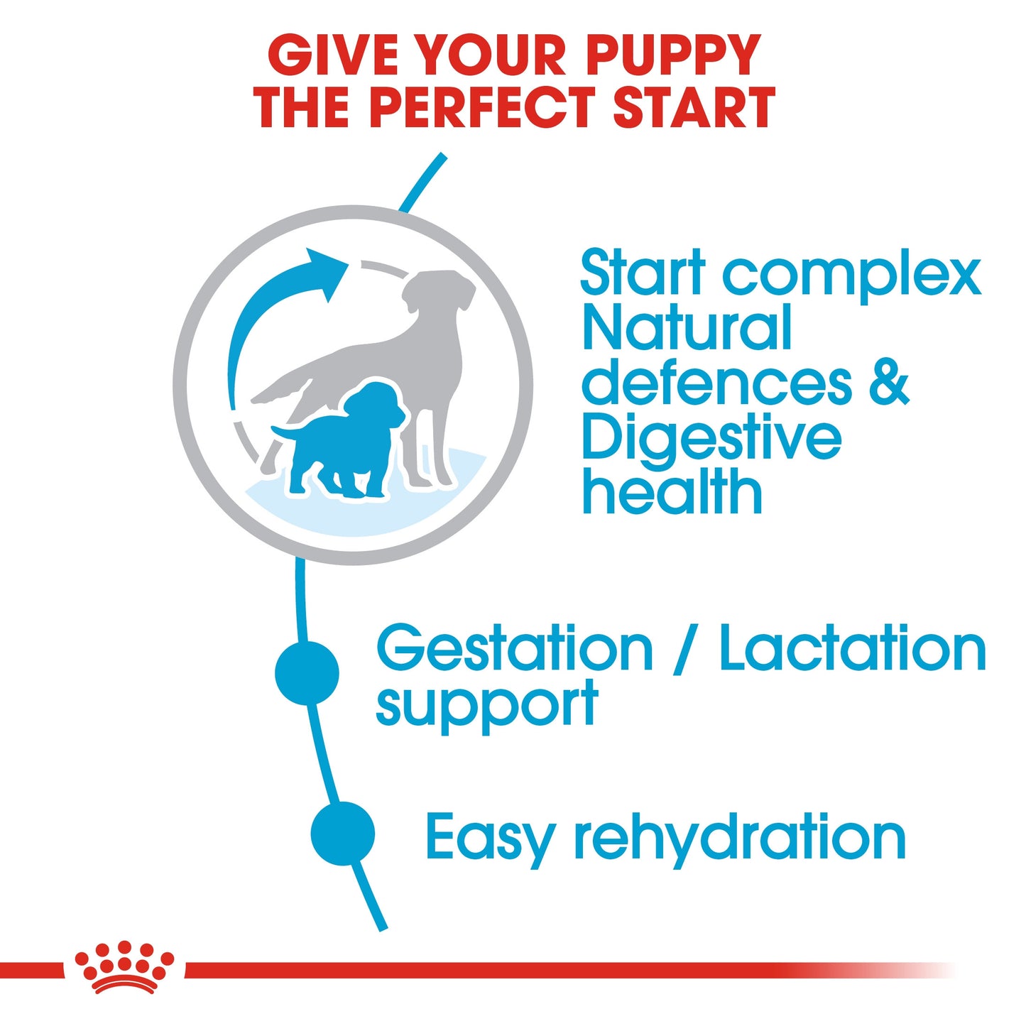 Royal Canin, Size Health Nutrition Medium Starter 4 KG