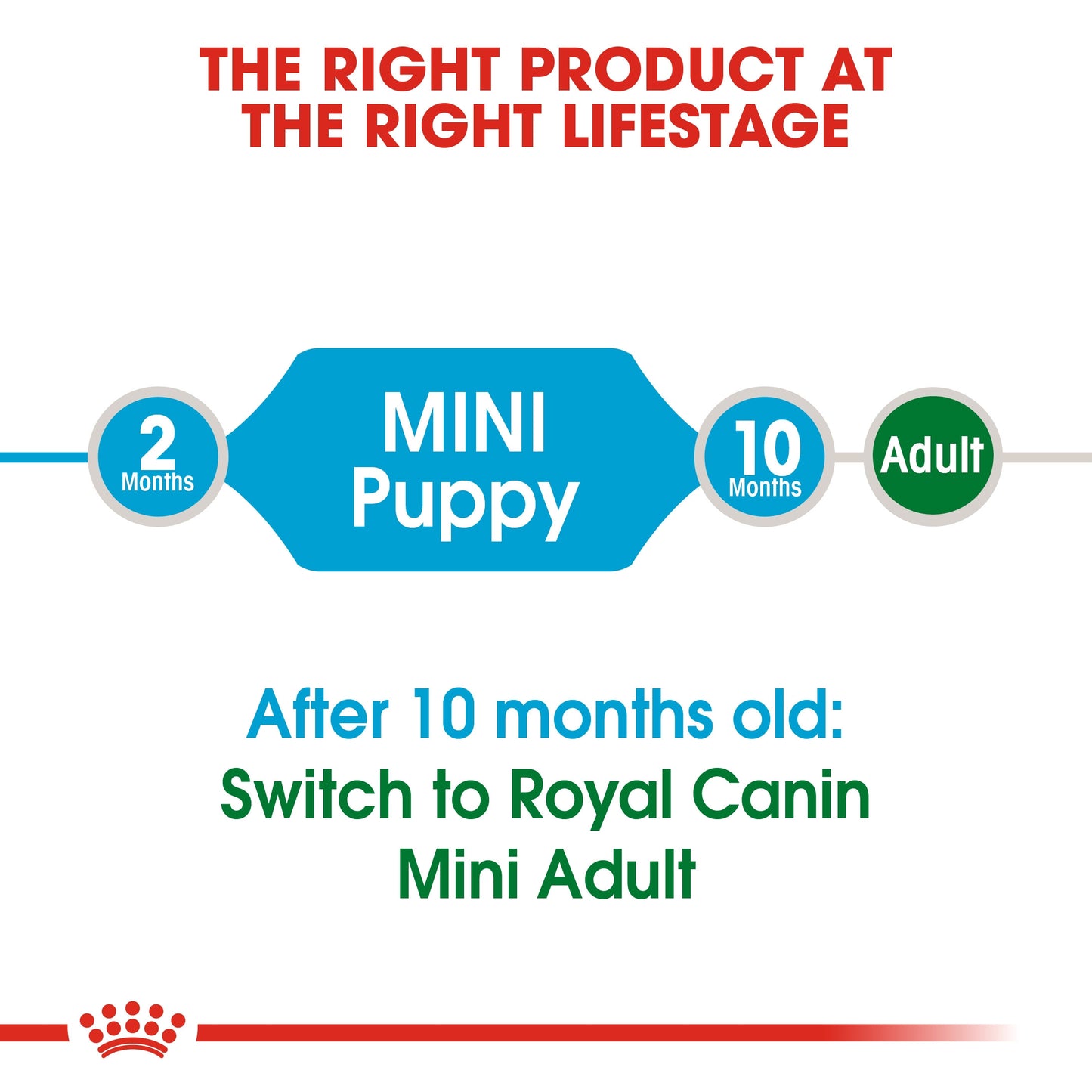 Royal Canin, Size Health Nutrition Mini Puppy 2 KG