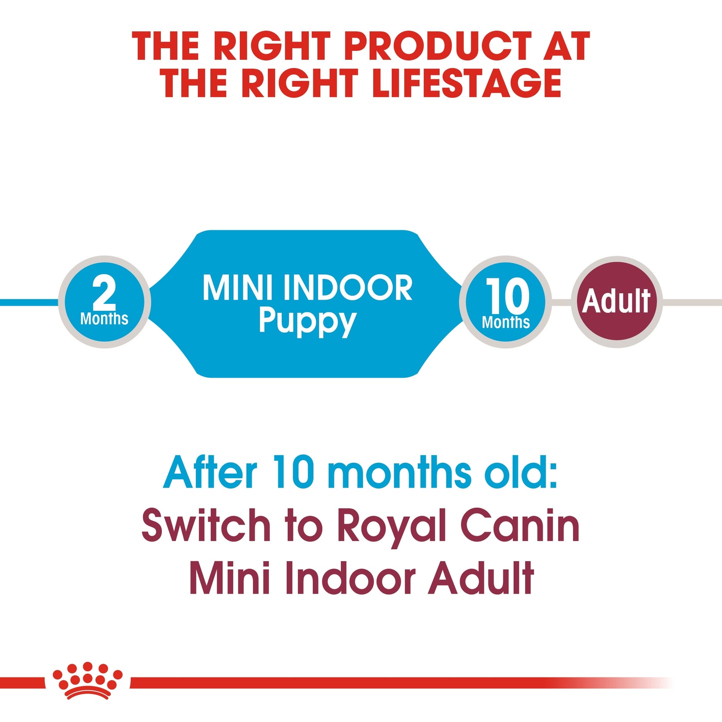 Royal Canin, Size Health Nutrition Mini Indoor Puppy 1.5 KG