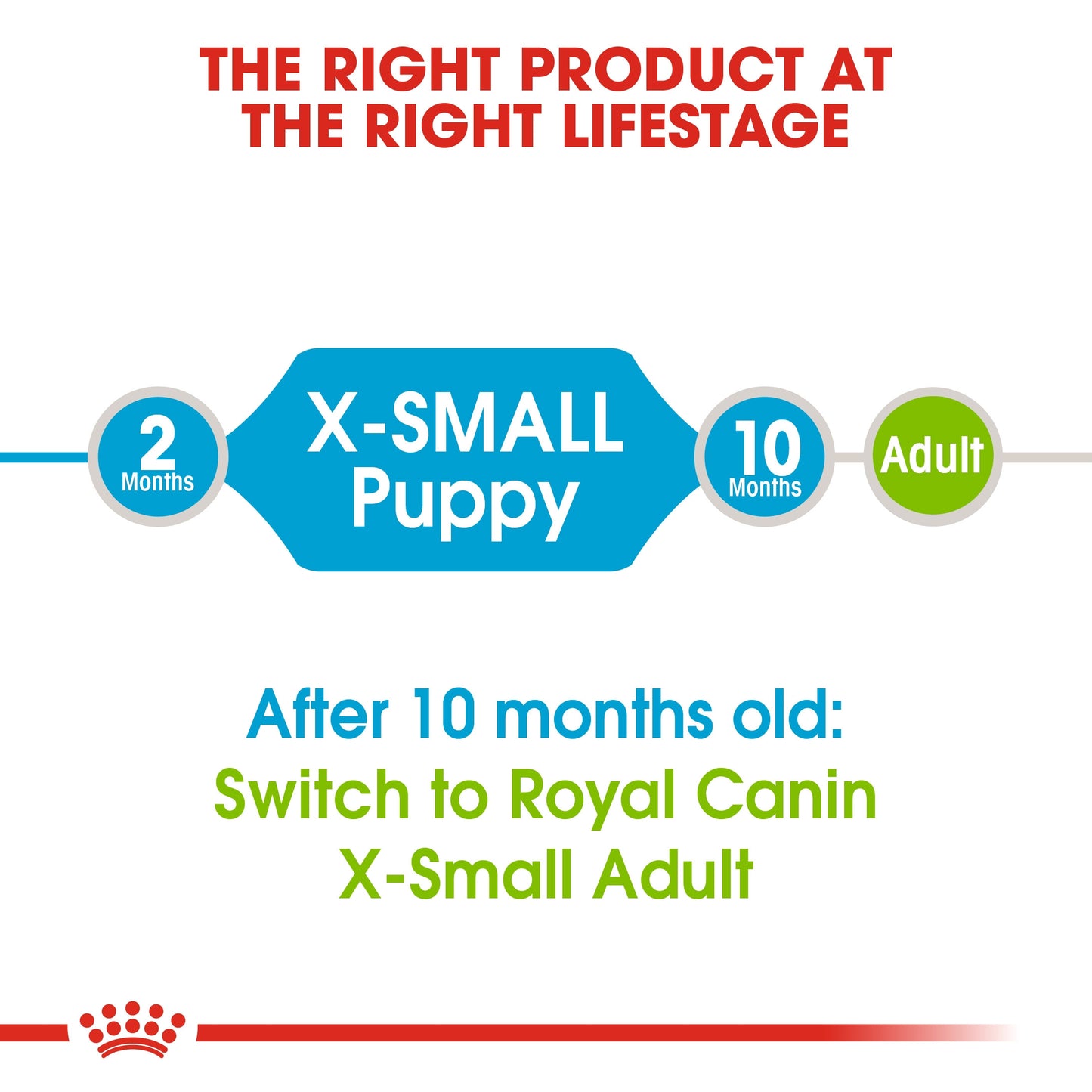 Royal Canin, Size Health Nutrition XS Puppy 1.5 KG