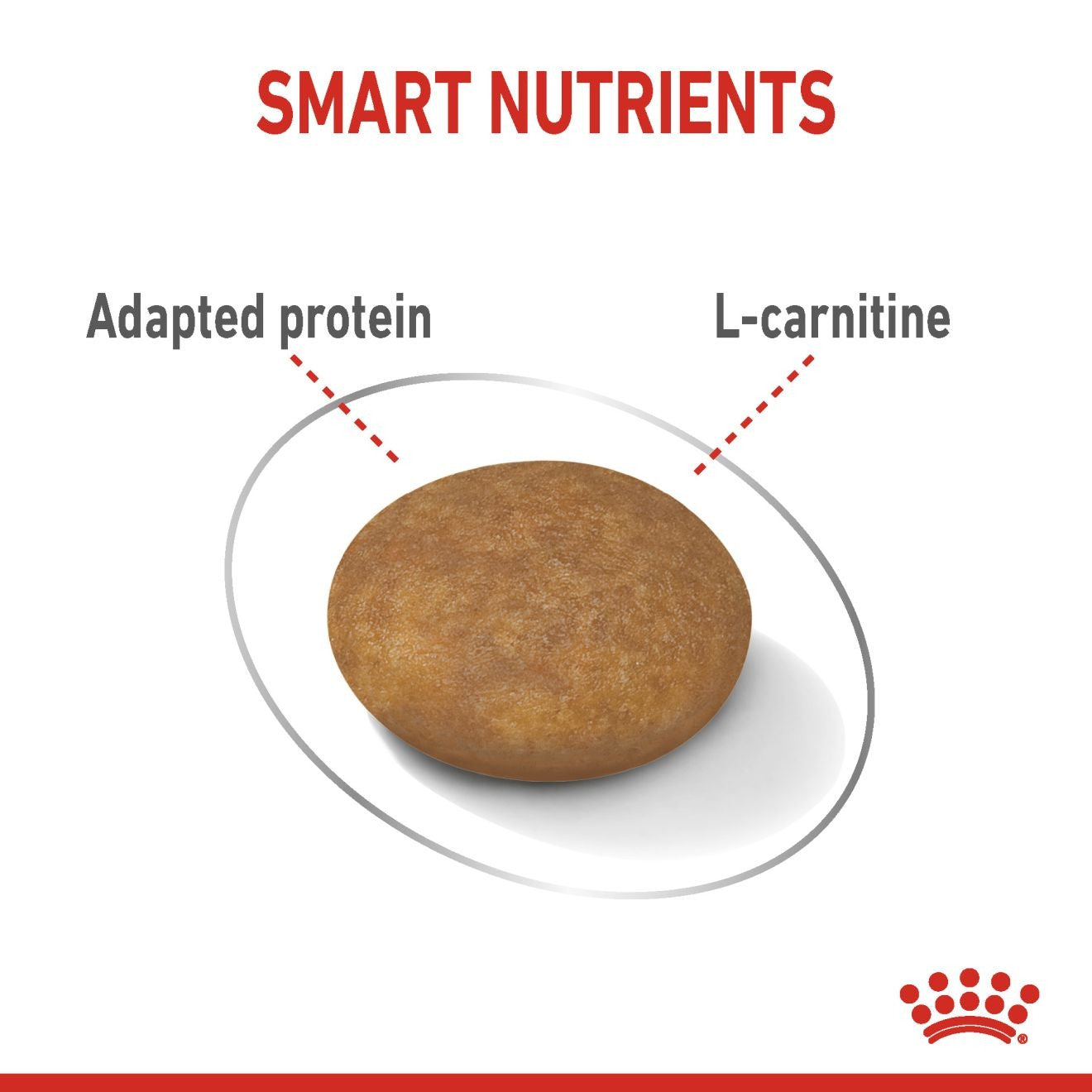 Royal Canin, XS Adult Light 1.5 KG, Canine Care Nutrition