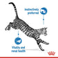 Royal Canin, Feline Health Nutrition Indoor (WET FOOD - Pouches)