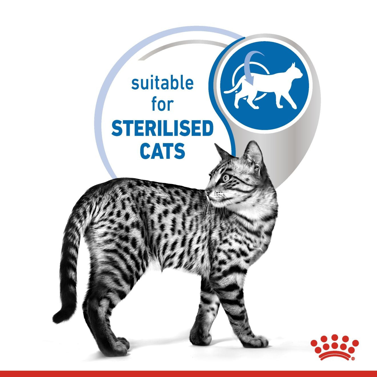 Royal Canin, Feline Health Nutrition Indoor (WET FOOD - Pouches)