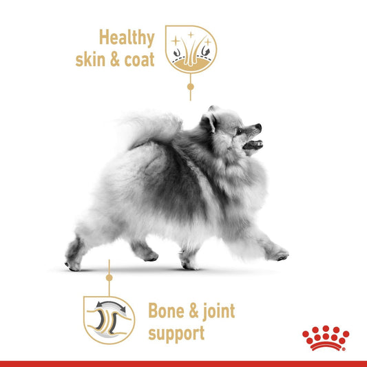 Royal Canin, Pomeranian (WET FOOD - Pouches), Breed Health Nutrition