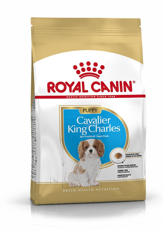 Royal Canin, Cavalier King Charles Puppy 1.5 KG Breed Health Nutrition