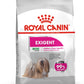 Royal Canin, Mini Exigent 3 KG, Canine Care Nutrition