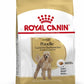 Royal Canin, Poodle Adult 1.5 KG, Breed Health Nutrition