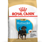 Breed Health Nutrition Rottweiller Puppy 12 KG