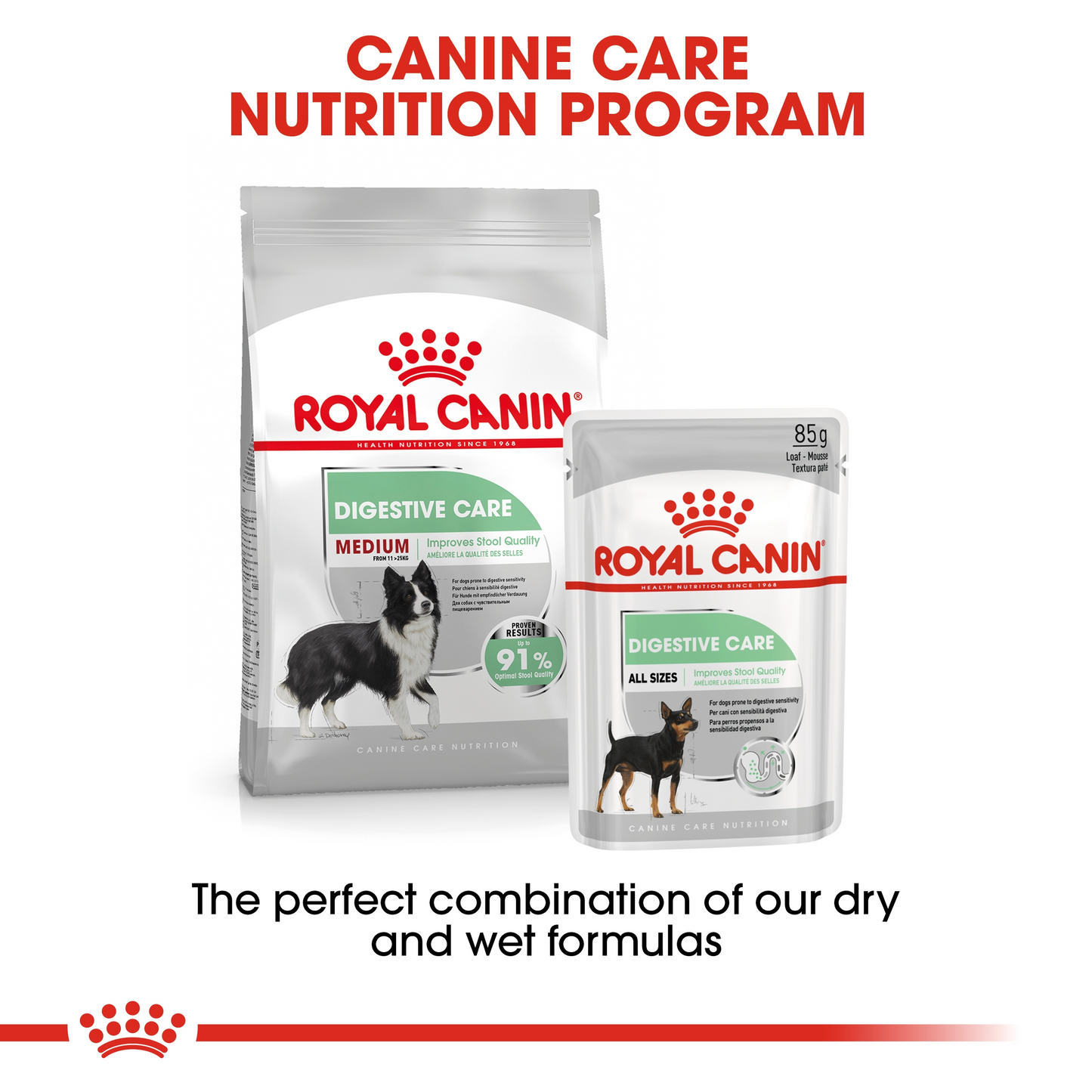 CANINE CARE NUTRITION MEDIUM DIGESTIVE CARE 12 KG