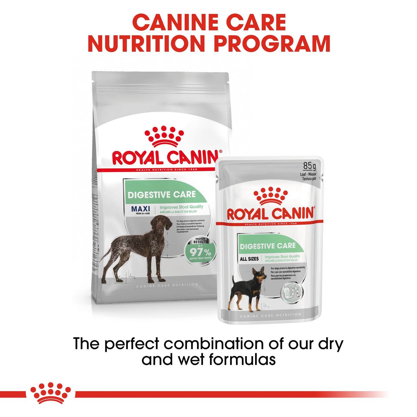 CANINE CARE NUTRITION MAXI DIGESTIVE CARE 12 KG