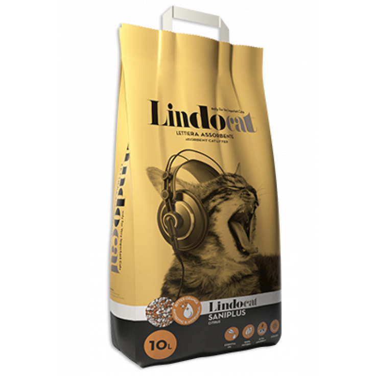 LINDOCAT SANIPLUS 10 L