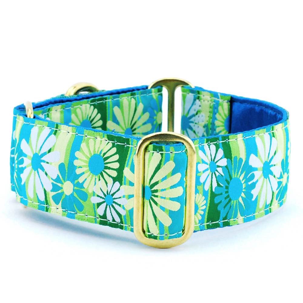 Small Satin Lined Martingale Collar - Daisy Stripe