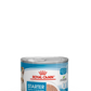 Royal Canin, Starter Mousse (WET FOOD - Cans), Canine Health Nutrition