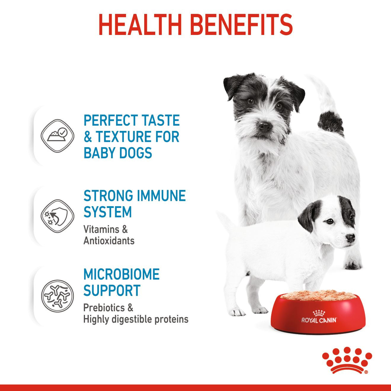 Royal Canin, Starter Mousse (WET FOOD - Cans), Canine Health Nutrition