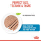 Royal Canin, Starter Mousse (WET FOOD - Cans), Canine Health Nutrition