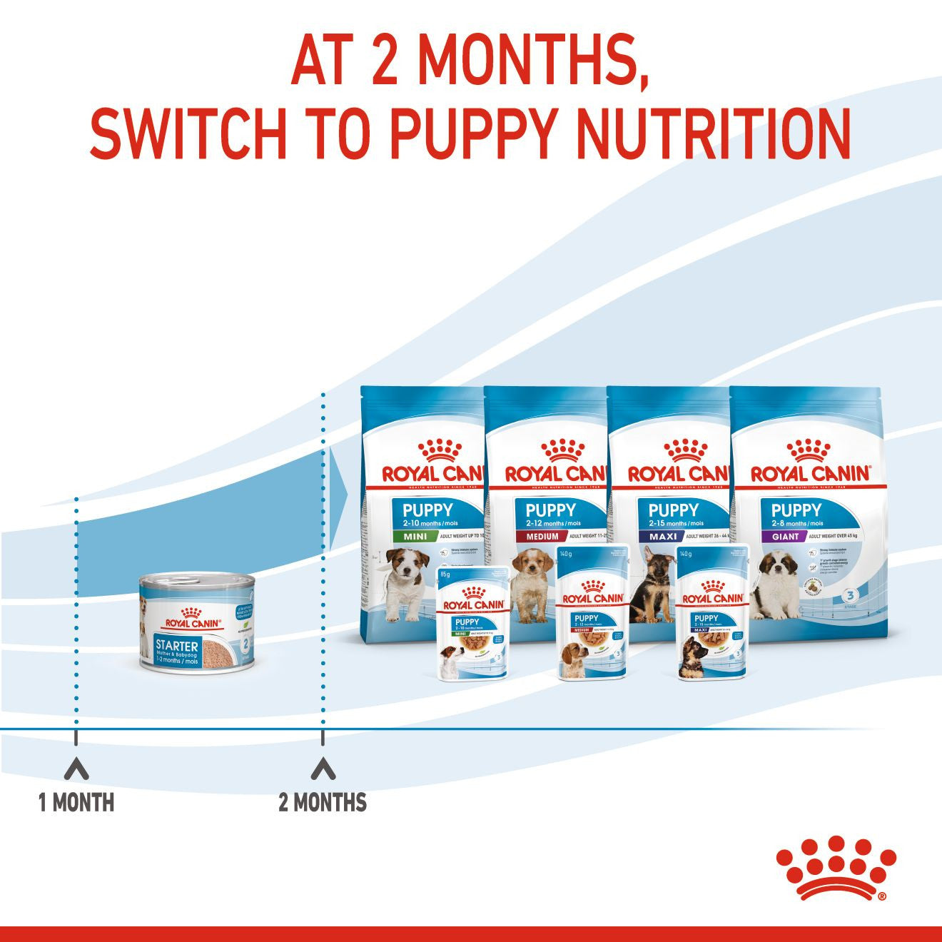 Royal Canin, Starter Mousse (WET FOOD - Cans), Canine Health Nutrition