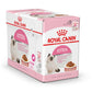 Royal Canin, Feline Health Nutrition Kitten Gravy (WET FOOD - Pouches)
