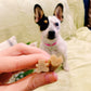 Whimzees Puppy Stix XS/S (14 Pcs)